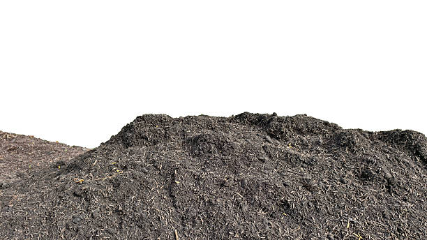 istock soil isolated against a pure white background 2242137369