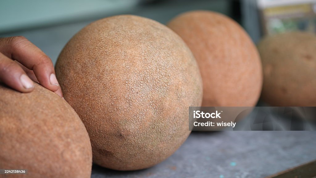 Mamey Sapote fruit is a Mexico jumbo sapodilla fruit. - Royalty-free Alimentação Saudável Foto de stock Mamey Sapote fruit is a Mexico jumbo sapodilla fruit. - Royalty-free Alimentação Saudável Foto de stock