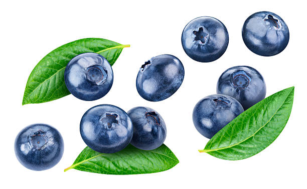 istock Flying blueberry isolated on white background 2242138503