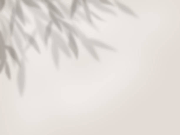 istock Background material showing the shadows of leaves on the wall 2242141043