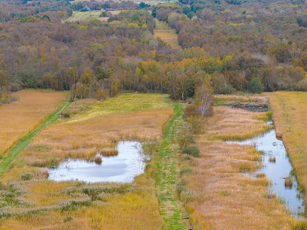 Canals and reed landscape in the Weerribben-Wieden wetland nature reserve near Ossenzijl in Overijssel, The Netherlands during a fall day.