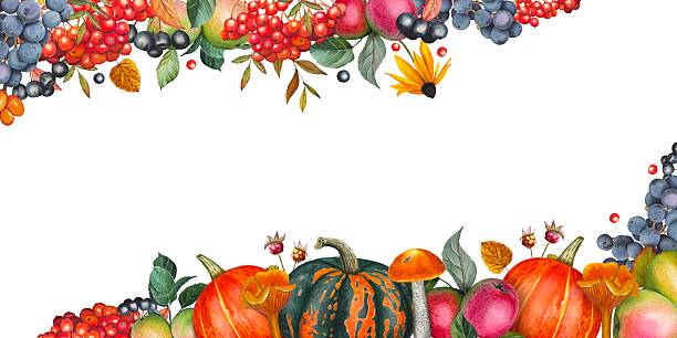 istock Hand drawn border with apples, berries, pumpkins, autumn leaves. Watercolor illustration. 2242141097