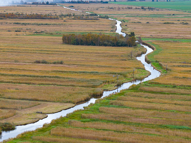 Canals and reed landscape in the Weerribben-Wieden wetland nature reserve near Ossenzijl in Overijssel, The Netherlands during a fall day.