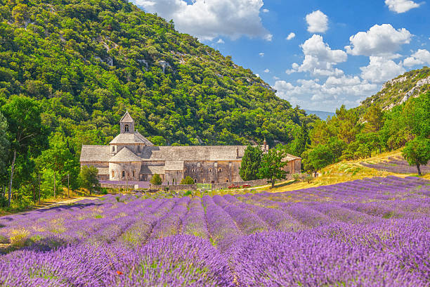 istock Senanque Abbey and Lavender Fields in Provence on a sunny day 2242141317