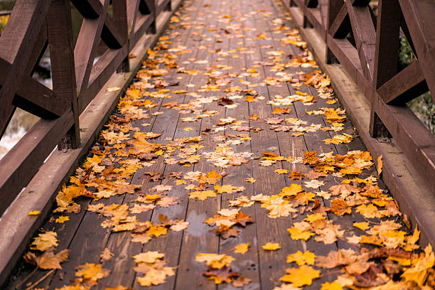 istock Wooden bridge covered with fallen autumn leaves 2242141782