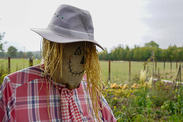 Dry grass hay bale decoration on agricultural fair
