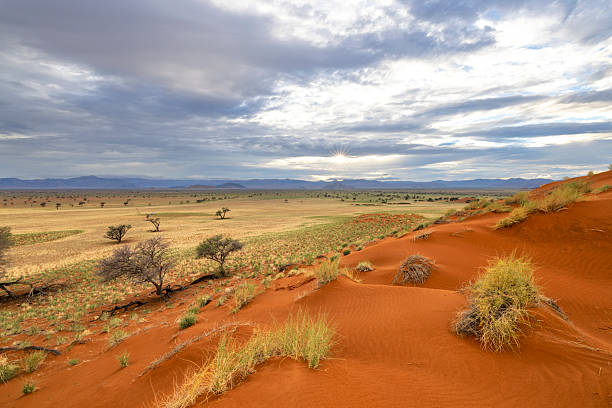 istock Red sand dune green grass and blue clouds 2242160907