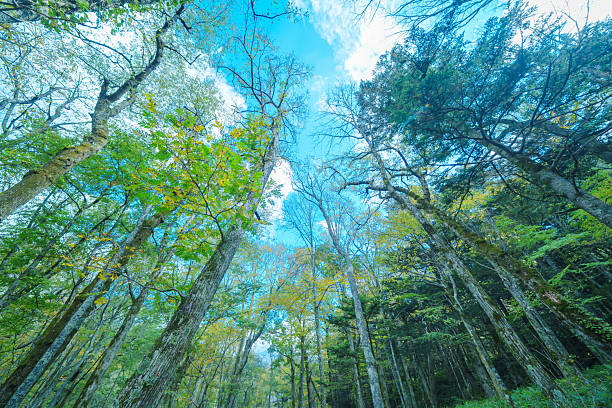 Beautiful Kamikochi seeing on October.