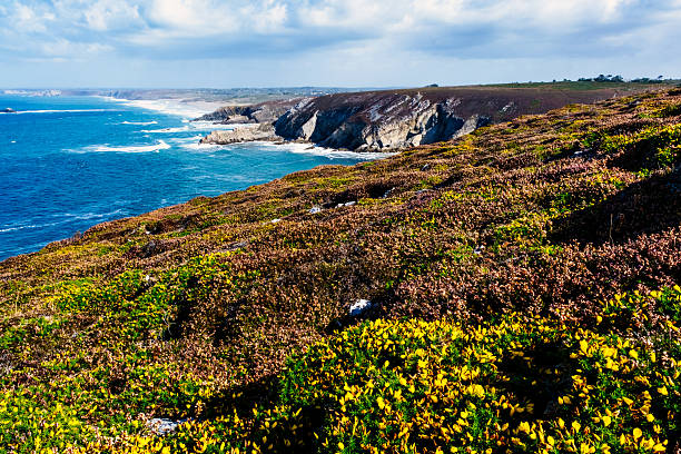 Waves breaking at Cap de la Chevre on a windy day in the Brittany region of France.