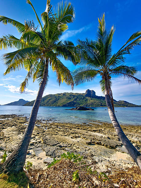istock Twin Palm Trees on Kuata Island 2242171617