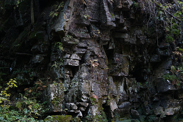istock Rocky cliff face with greenery in natural forest environment 2242172056