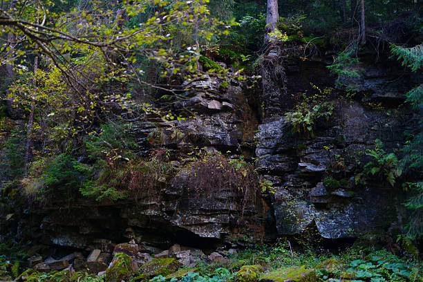 Lush forest rock formation with green foliage and mossy stones.