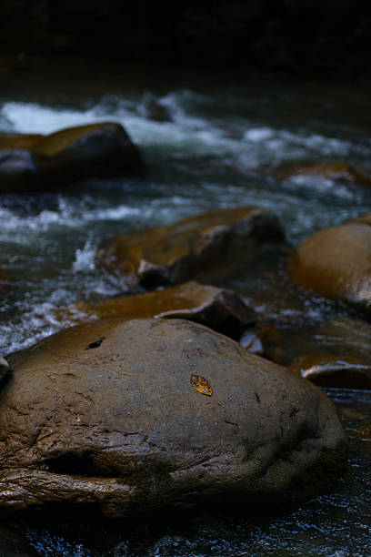 istock Serene river scene with flowing water and mossy rocks in nature 2242172155