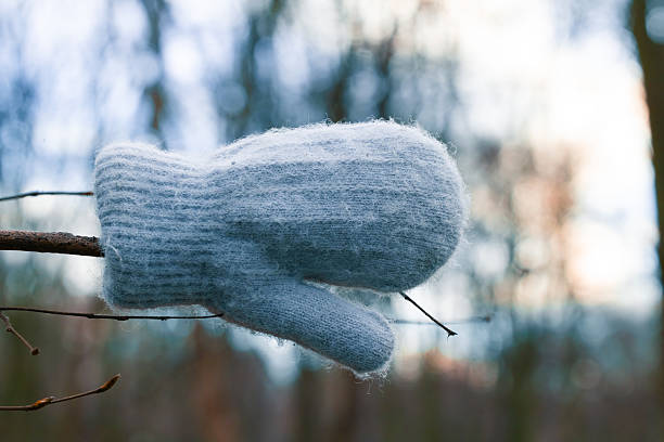 child glove abandoned hanging on a bare tree branches in moody blurred background park outdoor dusk winter cold environment space