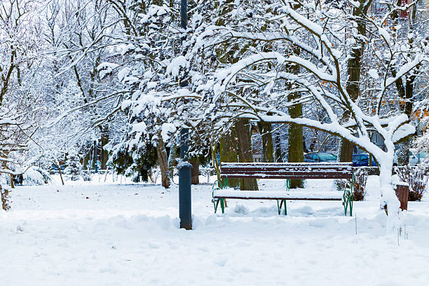 snowy winter white park nature December time day with trees bare branches and empty bench without people here