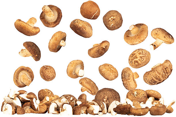 istock Fresh Shiitake Mushrooms Fallen and Piled on Floor Background 2242182606