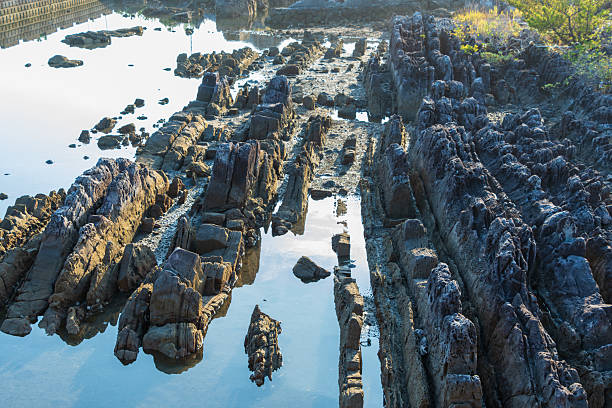 Unique rock formations exposed during low tide at Suzushima in Shingu City, Wakayama Prefecture, reflecting sunlight on the calm water surface.