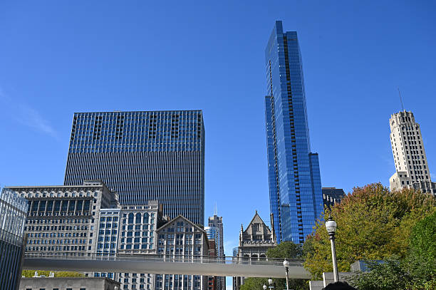 istock downtown chicago view with trees and blue sky 2242186252