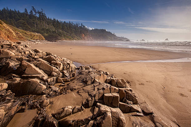 Rocks on the sand at Indian Beach in Ecloa State Park, Oregon.