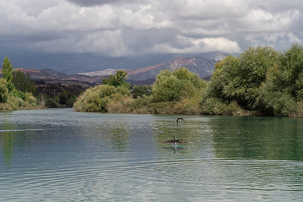Serene river landscape featuring calm waters reflecting lush greenery and distant mountains, creating a tranquil atmosphere with soft ripples on the surface and dramatic clouds overhead