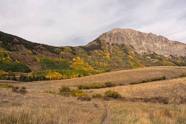 A hiking path leads to a rocky mountain peak through an autumn landscape in Gothic Basin, Colorado