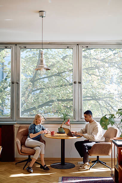 istock Diverse couple working together in bright modern home office 2242197326