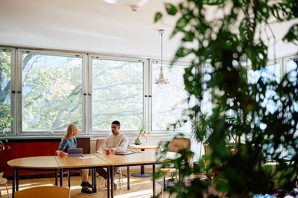 istock Business colleagues collaborating in modern green office 2242198360