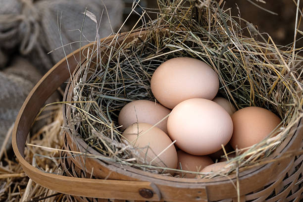 istock beige eggs in a basket among the dry grass 2242207381