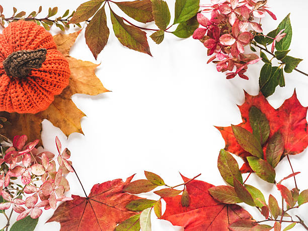 istock Bright pumpkin, tree leaves and flowers 2242209808