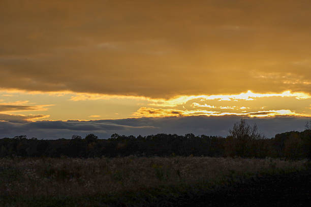 An incredible landscape conveys a dramatic sunset or sunrise, where low-hanging clouds blaze with golden and orange hues above the dark horizon of the forest and the dry field in the foreground.