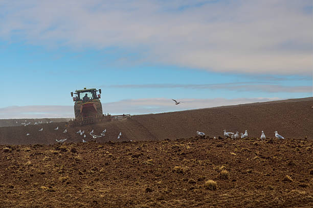 Farmer seen driving his tractor with two labourers at a farm in North West Province of South Africa.