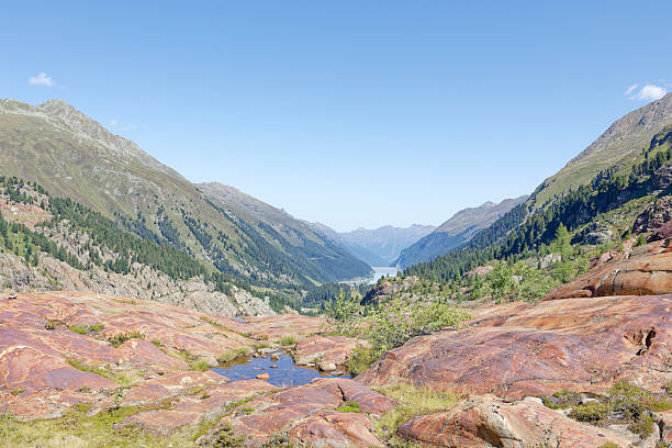 Idyllic mountain landscape with rocks polished by a glacier, in the Kaunertal, Tyrol, Austria