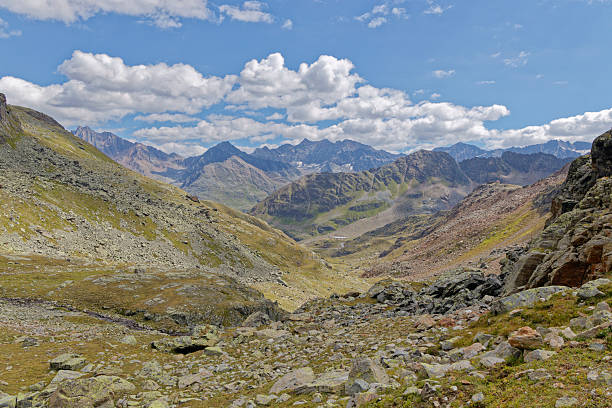 Wild landscape with sparse vegatation high up in the mountains, in the Kaunertal, Tyrol, Austria
