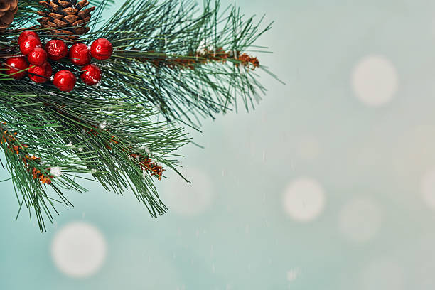 istock Decorated Christmas Tree with Ornaments and Christmas Lights 2242213465