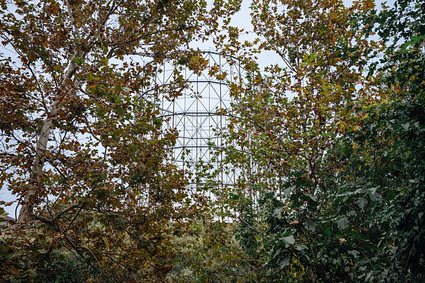 View of an old industrial gasometer framed by autumn foliage under a soft blue sky in Rome, Italy. The metal framework rises above the trees, symbolizing the blend of industrial heritage and urban landscape.