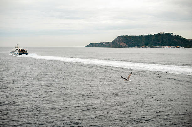 istock Ferry and Seagull on a Calm Sea 2242217223