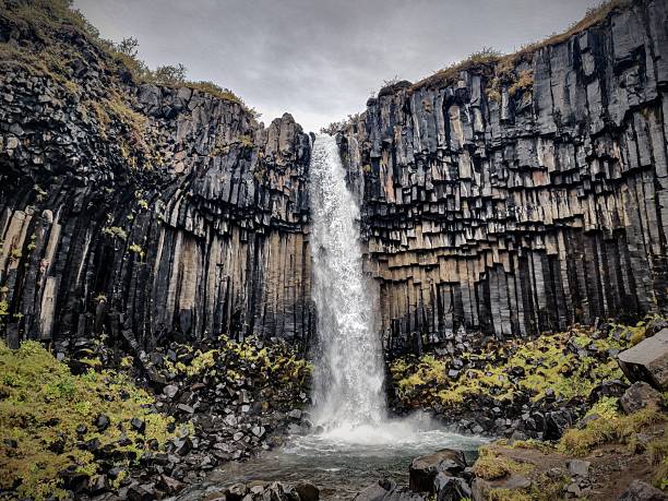 Scenic view of Svartifoss waterfall with basalt columns in Skaftafell, Iceland, showcasing natural beauty and geological formations.