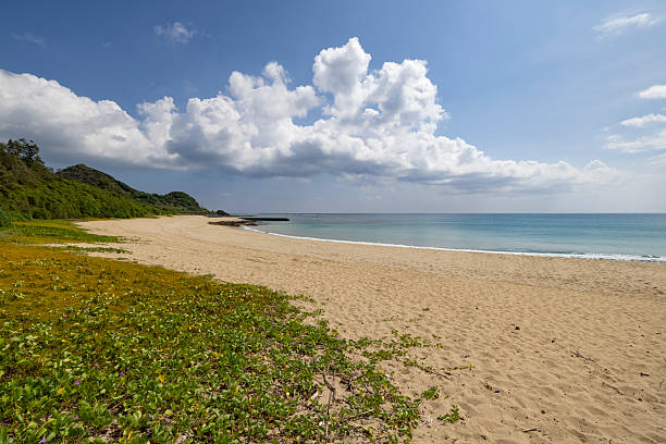 beautiful heart rock beach in amami oshima island, kagoshima prefecture, japan.