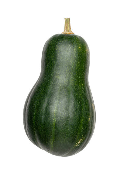 istock Green Butternut Squash on White Background - Perfect for Fall Harvest and Culinary Creations 2242222277