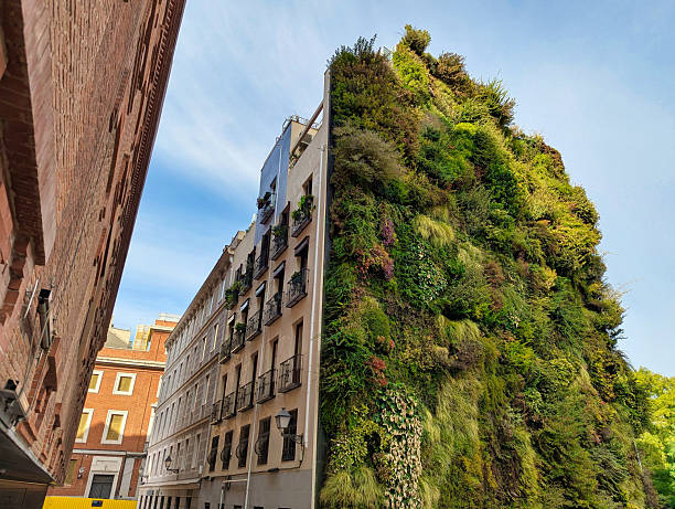istock Caixa Forum, verrtical garden, Madrid, Spain 2242229720