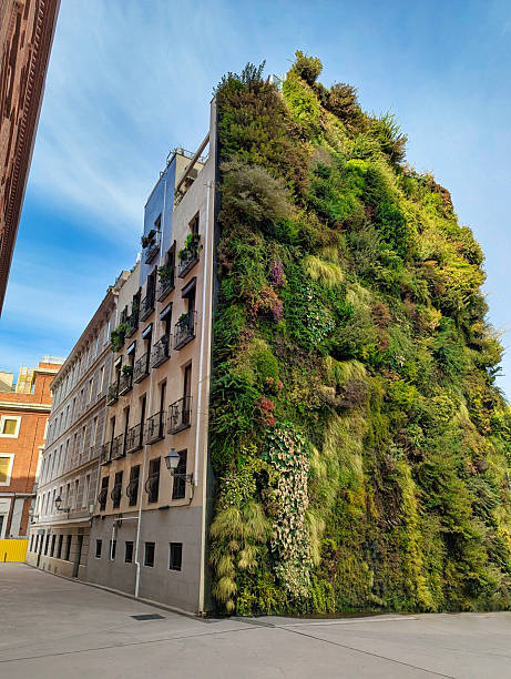 istock Caixa Forum, verrtical garden, Madrid, Spain 2242229721
