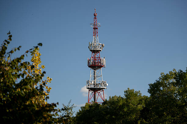 A tall red and white telecommunication tower rises above a canopy of green trees against a clear blue sky. The bright sunlight and clean composition highlight the contrast between technology and nature, symbolizing modern connectivity in a natural setting.