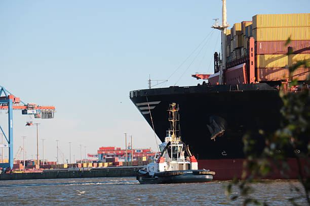 istock Cargo Ships and Cranes in Hamburg Harbour on a Sunny Day 2242239678