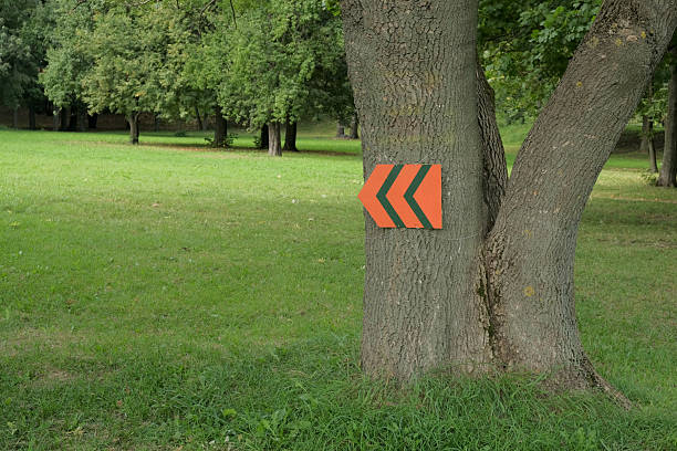 Nature trail direction arrow sign. Marked Trail Quest. Course markings. Directional arrow on tree trunk to indicate hiking trail path. Outdoors, Leisure activity