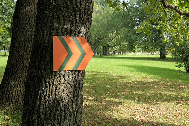 Temporary trail marker shaped like an arrow on the tree in city park. Course markings. Narrative quest or Adventure race, Orienteering