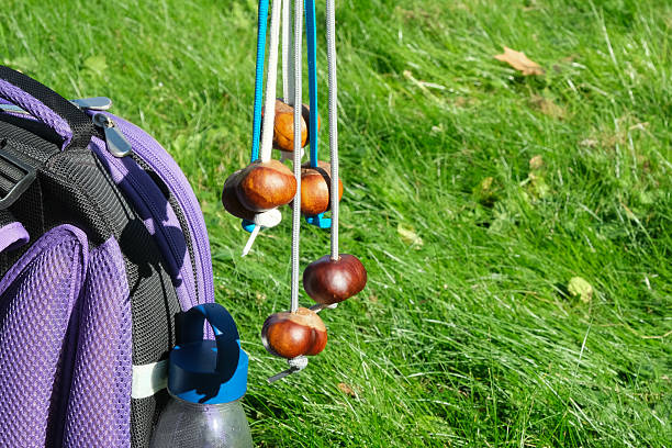 Bunch of conkers with strings near backpack. Green lawn. Outdoor leisure activity. Conkers - traditional children's game played using seeds of horse chestnut trees.