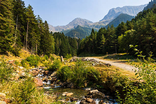 River Neste de Rioumajou flowing through the Pyrenees in Saint-Lary-Soulan