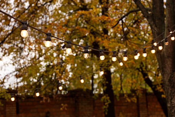 istock Outdoor string lights create a cozy atmosphere among colorful autumn trees in a garden setting 2242250626