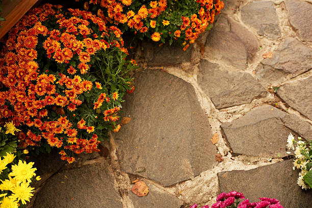 Bright orange and yellow flowers line a rustic stone pathway showcasing the beauty of nature. The cozy scene captures the essence of autumn with vibrant colors and earthy textures.