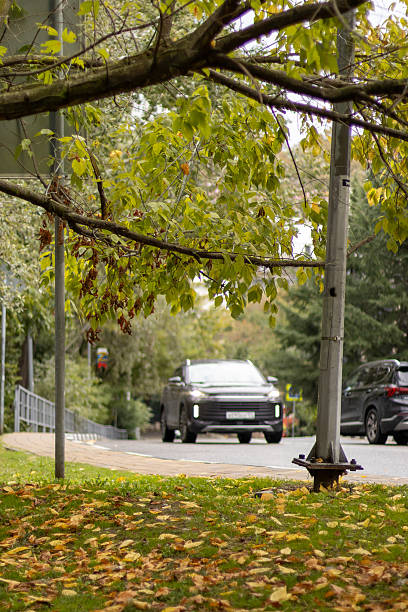 istock Cars Driving on Leafy Road 2242251026